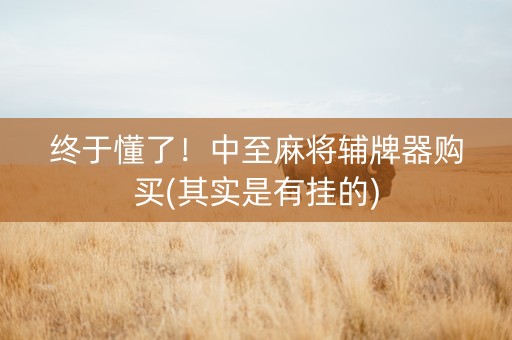 终于懂了！中至麻将辅牌器购买(其实是有挂的)
