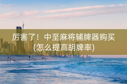 厉害了！中至麻将辅牌器购买(怎么提高胡牌率)