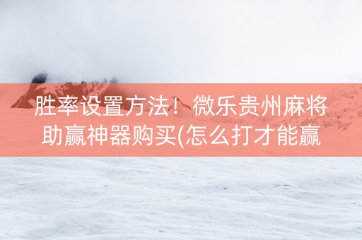 胜率设置方法！微乐贵州麻将助赢神器购买(怎么打才能赢)