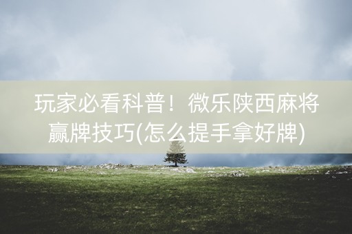 玩家必看科普！微乐陕西麻将赢牌技巧(怎么提手拿好牌)