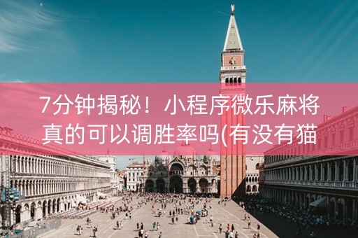 7分钟揭秘！小程序微乐麻将真的可以调胜率吗(有没有猫腻)