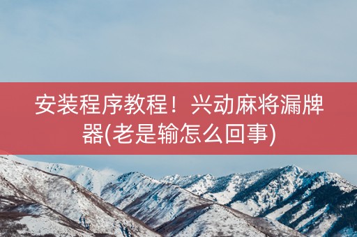 安装程序教程！兴动麻将漏牌器(老是输怎么回事)