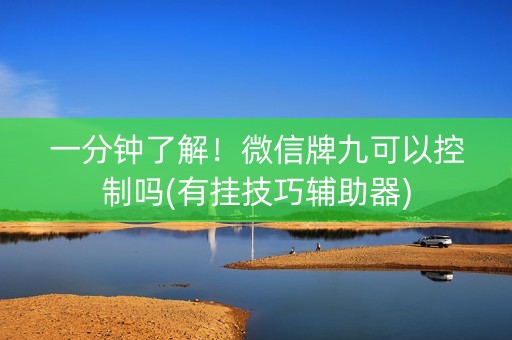 一分钟了解！微信牌九可以控制吗(有挂技巧辅助器)