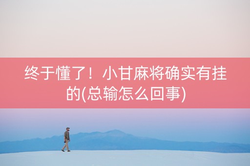 终于懂了！小甘麻将确实有挂的(总输怎么回事)