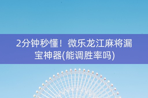 2分钟秒懂！微乐龙江麻将漏宝神器(能调胜率吗)