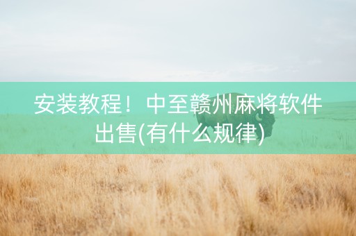安装教程！中至赣州麻将软件出售(有什么规律)