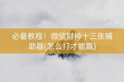必备教程！微信财神十三张辅助器(怎么打才能赢)