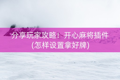 分享玩家攻略！开心麻将插件(怎样设置拿好牌)
