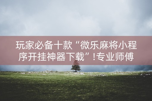 玩家必备十款“微乐麻将小程序开挂神器下载”!专业师傅带你一起了解（详细教程）-知乎