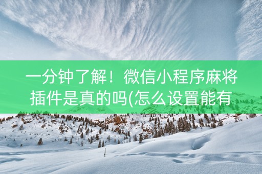 一分钟了解！微信小程序麻将插件是真的吗(怎么设置能有好牌)