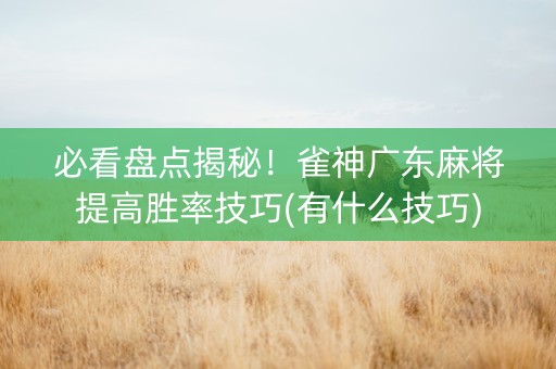 必看盘点揭秘！雀神广东麻将提高胜率技巧(有什么技巧)