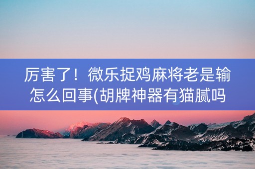 厉害了！微乐捉鸡麻将老是输怎么回事(胡牌神器有猫腻吗)