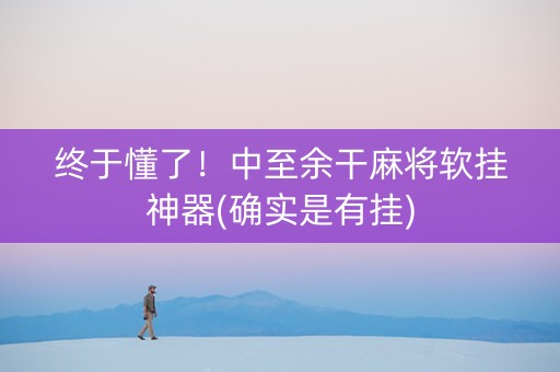 终于懂了！中至余干麻将软挂神器(确实是有挂)