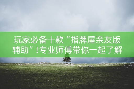 玩家必备十款“指牌屋亲友版辅助”!专业师傅带你一起了解（详细教程）-知乎