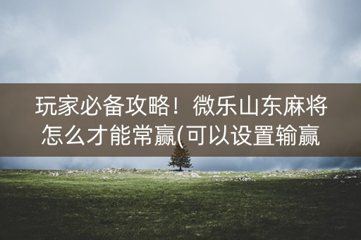 玩家必备攻略！微乐山东麻将怎么才能常赢(可以设置输赢吗)