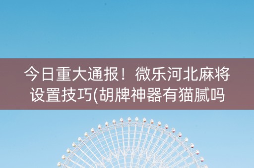 今日重大通报！微乐河北麻将设置技巧(胡牌神器有猫腻吗)