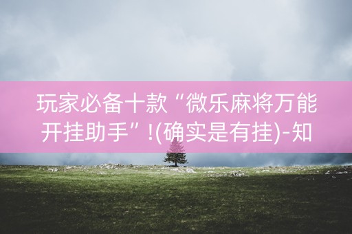 玩家必备十款“微乐麻将万能开挂助手”!(确实是有挂)-知乎