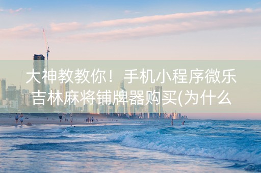 大神教教你！手机小程序微乐吉林麻将铺牌器购买(为什么老是输)