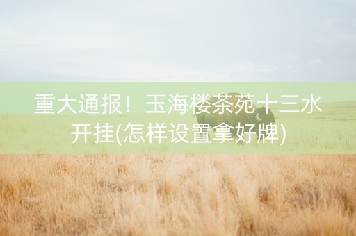 重大通报！玉海楼茶苑十三水开挂(怎样设置拿好牌)