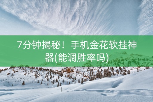 7分钟揭秘！手机金花软挂神器(能调胜率吗)