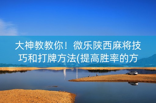 大神教教你！微乐陕西麻将技巧和打牌方法(提高胜率的方法)