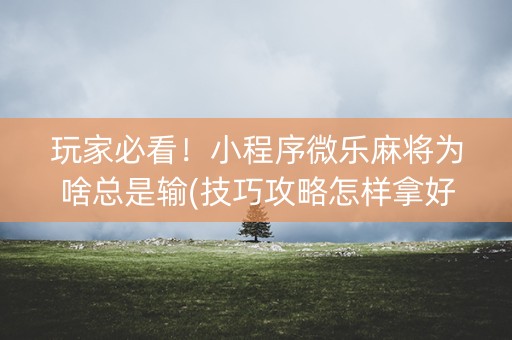 玩家必看！小程序微乐麻将为啥总是输(技巧攻略怎样拿好牌)