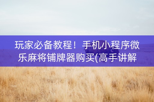 玩家必备教程！手机小程序微乐麻将铺牌器购买(高手讲解技术)