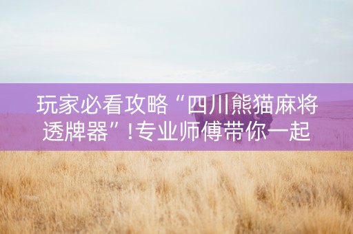 玩家必看攻略“四川熊猫麻将透牌器”!专业师傅带你一起了解（详细教程）-知乎