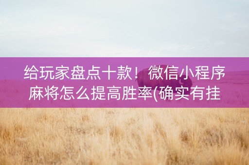 给玩家盘点十款！微信小程序麻将怎么提高胜率(确实有挂吗)