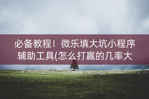 必备教程！微乐填大坑小程序辅助工具(怎么打赢的几率大)