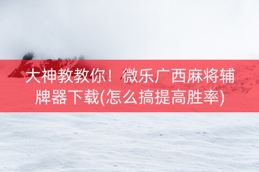 大神教教你！微乐广西麻将辅牌器下载(怎么搞提高胜率)