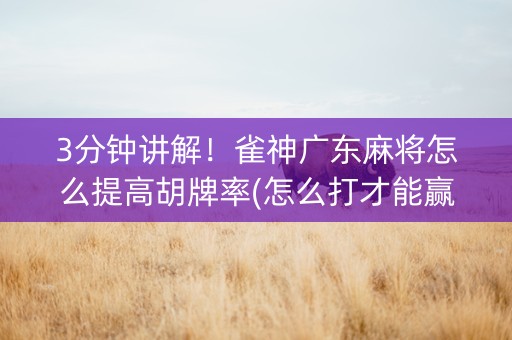 3分钟讲解！雀神广东麻将怎么提高胡牌率(怎么打才能赢)