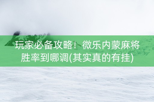 玩家必备攻略！微乐内蒙麻将胜率到哪调(其实真的有挂)