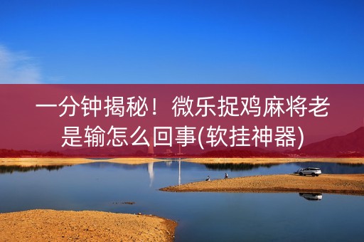 一分钟揭秘！微乐捉鸡麻将老是输怎么回事(软挂神器)