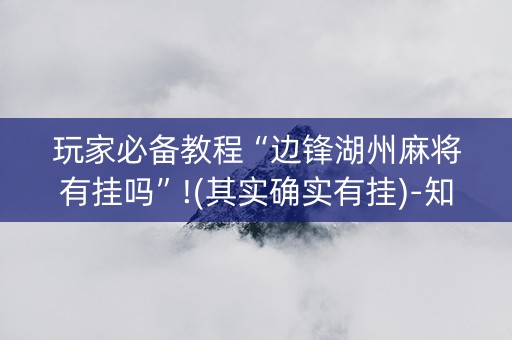 玩家必备教程“边锋湖州麻将有挂吗”!(其实确实有挂)-知乎