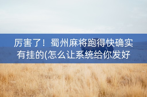 厉害了！蜀州麻将跑得快确实有挂的(怎么让系统给你发好牌)