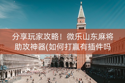 分享玩家攻略！微乐山东麻将助攻神器(如何打赢有插件吗)