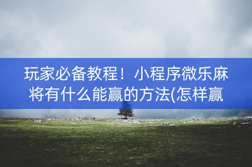 玩家必备教程！小程序微乐麻将有什么能赢的方法(怎样赢的几率大)