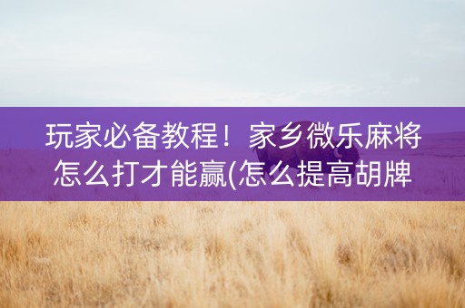 玩家必备教程！家乡微乐麻将怎么打才能赢(怎么提高胡牌率)