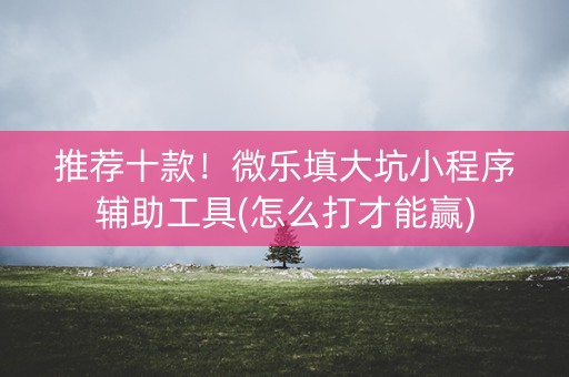 推荐十款！微乐填大坑小程序辅助工具(怎么打才能赢)