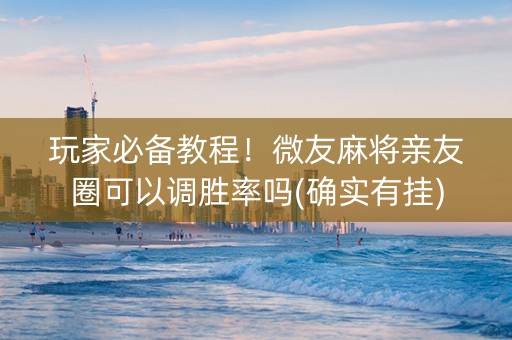 玩家必备教程！微友麻将亲友圈可以调胜率吗(确实有挂)