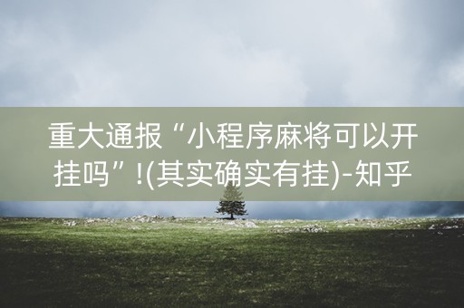 重大通报“小程序麻将可以开挂吗”!(其实确实有挂)-知乎