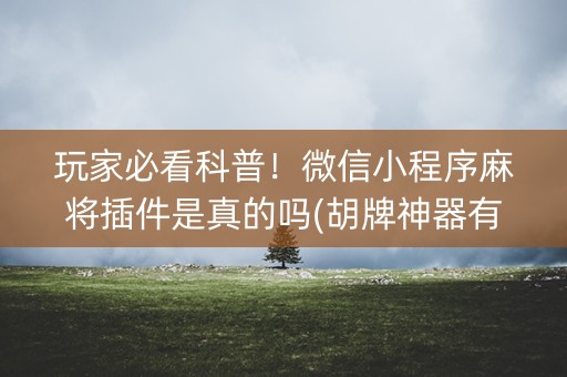 玩家必看科普！微信小程序麻将插件是真的吗(胡牌神器有猫腻吗)