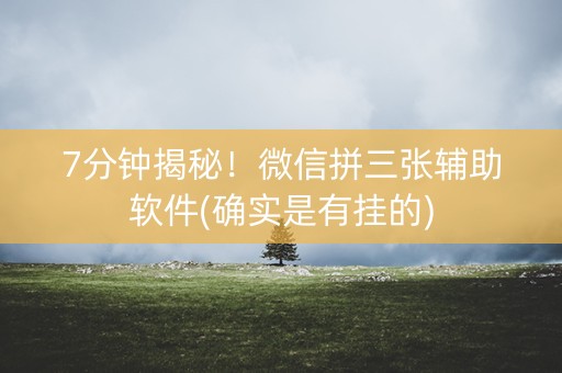 7分钟揭秘！微信拼三张辅助软件(确实是有挂的)