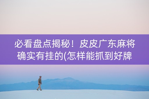 必看盘点揭秘！皮皮广东麻将确实有挂的(怎样能抓到好牌)