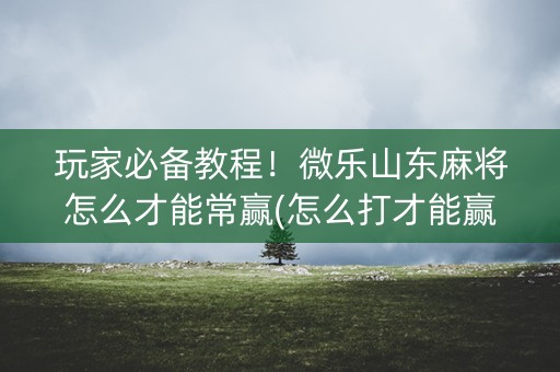 玩家必备教程！微乐山东麻将怎么才能常赢(怎么打才能赢)