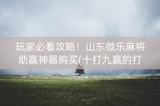 玩家必看攻略！山东微乐麻将助赢神器购买(十打九赢的打法)