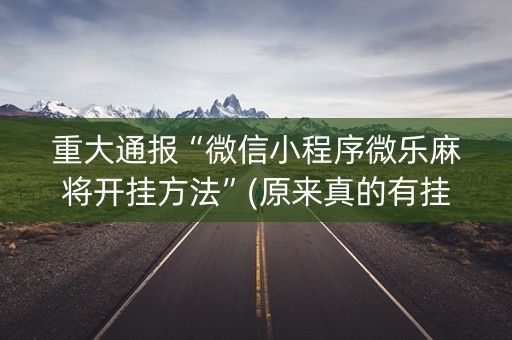 重大通报“微信小程序微乐麻将开挂方法”(原来真的有挂)-知乎