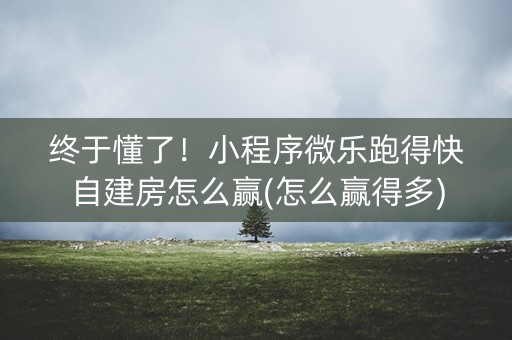 终于懂了！小程序微乐跑得快自建房怎么赢(怎么赢得多)
