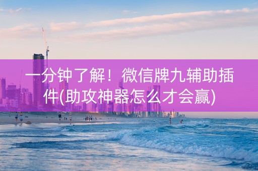 一分钟了解！微信牌九辅助插件(助攻神器怎么才会赢)